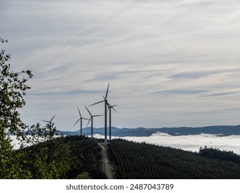 Wind turbines stand tall on a hill against a cloudy sky surrounded by a forest of green coniferous trees and with morning fog in the valley in the background - Powered by Shutterstock
