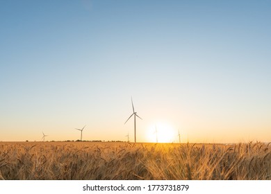 Wind turbines in a wheat field at sunset background. Green energy. - Powered by Shutterstock