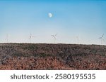 Wind turbines windmills at Appalachian mountains ridge, West Virginia Canaan valley on Sugarlands road in Benbush with scenic landscape and moon