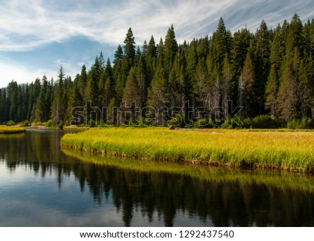 Wind whipped clouds break up the blue summer sky over the forest along the Truckee River in Placer County, California