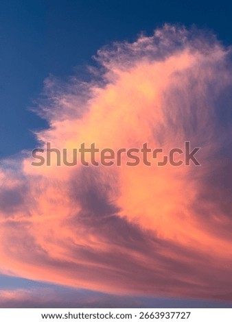 Windblown clouds in the shape of a flower in bloom at sunset, July in southwest Florida, for motifs of effect and ephemera in nature