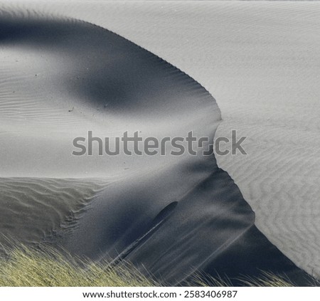 Similar – Image, Stock Photo Dune grass blowing in the wind on the sandy beach