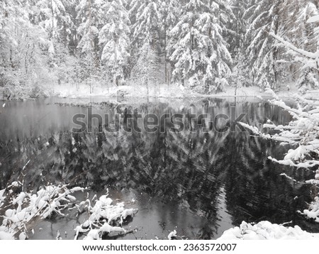 wind-distorted reflection of snow-covered trees in a lake
