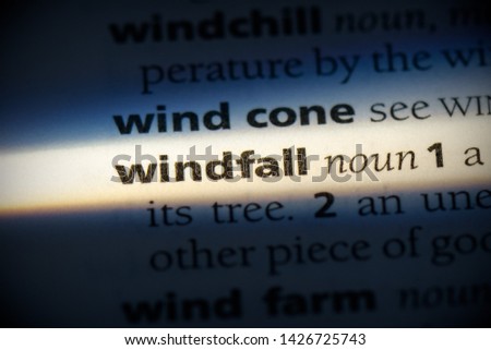 windfall word in a dictionary. windfall concept, definition.