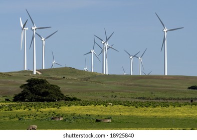 Windfarm in field, Victoria, Australia