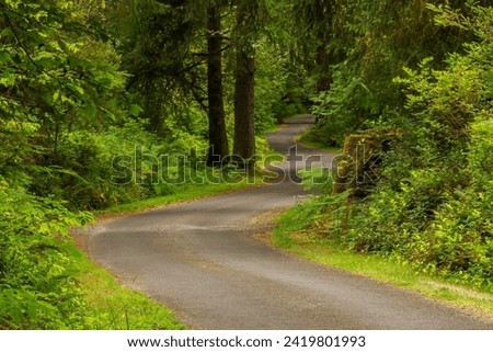 Winding access road in Leadbetter Point State Park, Washington state