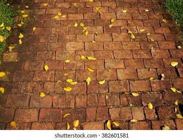 A Winding Brick Path In A Garden 