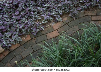 A Winding Brick Path In A Garden