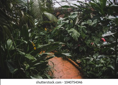 Winding Brick Path Leads Through An Overgrown Greenhouse With Plants And Flowers Surrounding