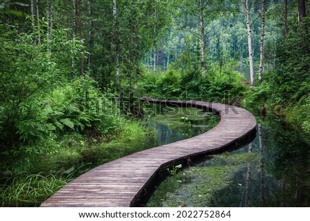 A winding bridge over a forest river. Wooden boardwalk in the green forest. Beautiful hiking trail or footpath across the river.