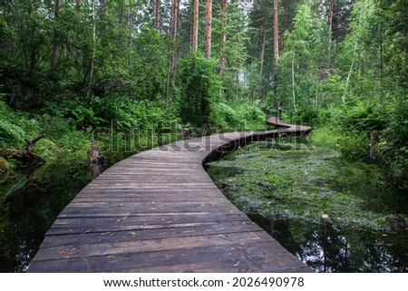 A winding bridge over a forest river. Wooden boardwalk in the green forest. Beautiful hiking trail or footpath across the river.