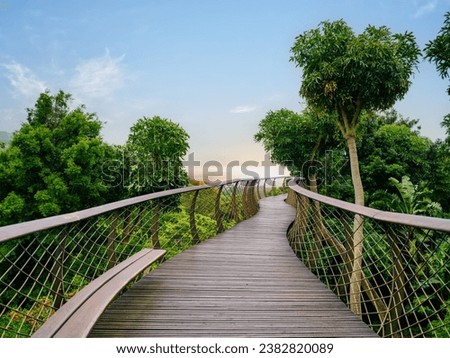 Winding Canopy Walkway wooden bridge during sunset in Kirstenbosch National Botanical Garden, Cape Town, South Africa