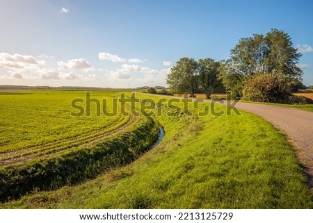 Similar – Image, Stock Photo Winding country road with dust cloud through the forest at sunrise. Spring landscape.
