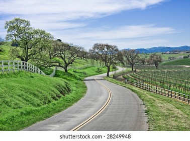 A Winding Country Road Through California Wine Country.