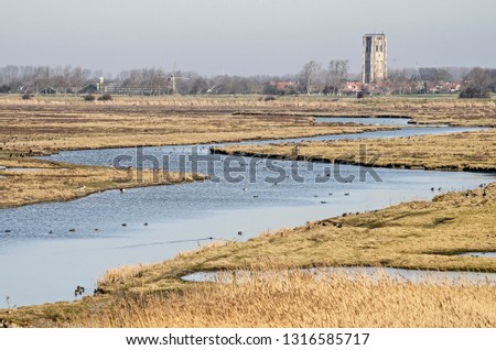 Winding creek with grass and reeds at its banks at Koudenhoek nature reserve with the church of Goedereede town in the distance