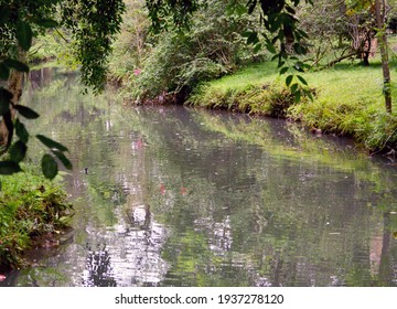 A Winding Creek With Green Banks.