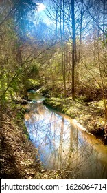 Winding Creek In NC Piedmont Region