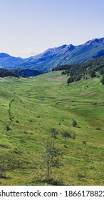 Winding Creek On The Mountain