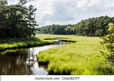 Winding Creek Through Salt Marsh