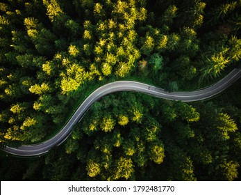 Winding Curvy Road Trough Forest. Aerial Drone Top Down View. Wilderness Landscape.