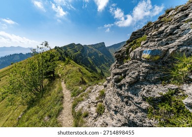 A winding dirt path ascends through rugged alpine beauty, evoking serenity and adventure near Vorarlbergs towering peaks under bright natural light