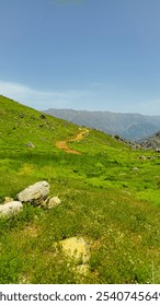 A winding dirt path meanders through lush green hills, leading towards distant mountains under a clear blue sky.
📍 Hawraman Takht, Kurdistan - Iran 