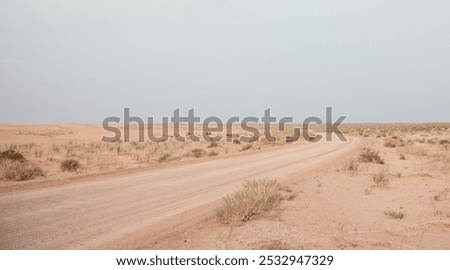A winding dirt path meanders through a sunlit arid landscape, surrounded by dry shrubs and a clear, pale blue sky.