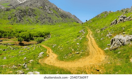 A winding dirt path through lush green hills under a clear blue sky, leading towards rocky mountains.
📍 Hawraman Takht, Kurdistan - Iran  - Powered by Shutterstock