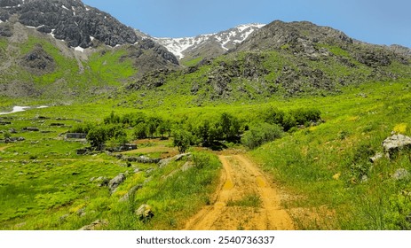 A winding dirt path through lush green hills under a clear blue sky, leading towards rocky mountains.
📍 Hawraman Takht, Kurdistan - Iran  - Powered by Shutterstock