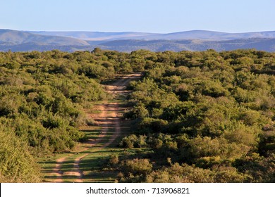 Winding Dirt Road In Addo Elephant National Park