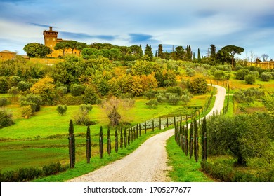Winding dirt road rises to the farm. Olive trees on green grassy meadows. Rural tourism. Cozy picturesque farms in the hills of Tuscany. The concept of active, rural and photo tourism