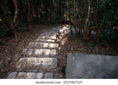 A Winding Forest Path: A Stone Stairway Leading into the Green - Powered by Shutterstock