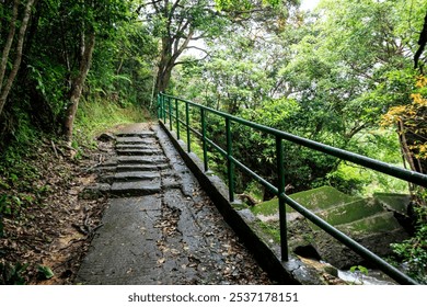 Winding Forest Path with Stone Steps and Green Railings - Powered by Shutterstock