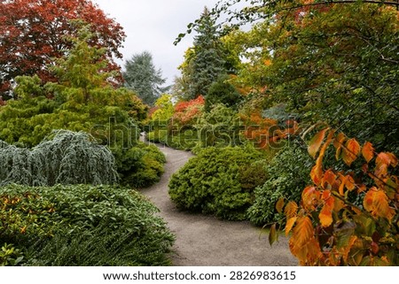 Winding garden path surrounded by diverse trees and shrubs displaying autumn colors in Seattle Japanese garden