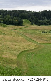 A winding grass path leads through rolling green and golden hills towards a distant forest under an overcast sky, with two small people walking along the trail.