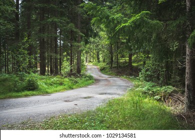 A Winding Gravel Road Going Through The Forrest In The Summer