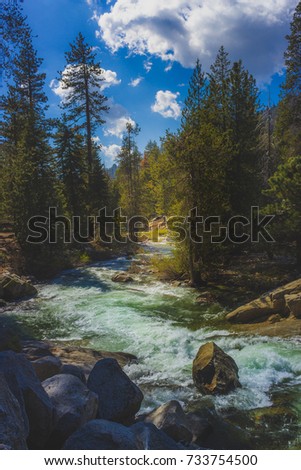 Winding Marble Fork Kaweah River flowing through the dense forest along the Tokopah Valley Trail, Sequoia National Park, California