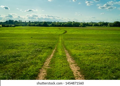 Winding Meadow Dirt Road - Green Nature Scenery. Low Angle.