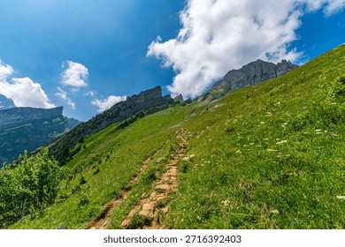 A winding mountain path ascends through lush green meadows, framed by rugged cliffs under a bright blue sky, evoking tranquility and adventure in the heart of the Alps
