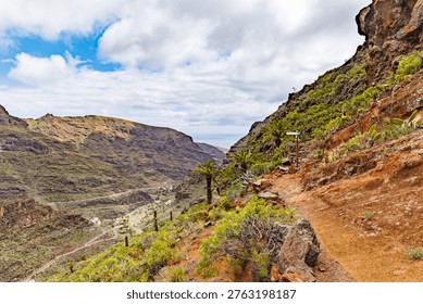 A winding mountain path with native flora on La Gomera, highlighting eco-conscious travel and the impact of tourism on fragile ecosystems