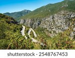 A winding mountain road along Route 82 offers stunning views of the rugged Nedontas Gorge in the Peloponnese, Greece, surrounded by lush greenery.