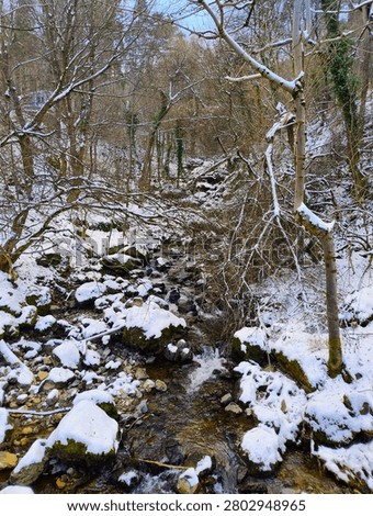 Winding mountain stream through snow-dusted mossy rocks and boulders, flanked by leafless trees with ivy under winter sky, Vitosha National Park, Bulgaria.
