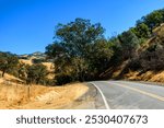 A winding Mt. Hamilton Road curves Joseph D. Grant County Park, lined with trees and golden hills, with the Lick Observatory visible on Mount Hamilton