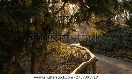 A winding park path bordered by a rustic wooden fence and framed by evergreen trees in warm golden sunlight. Peaceful outdoor scene with soft shadows, natural textures, and a calm woodland atmosphere, ideal for themes of walking, and urban nature. 