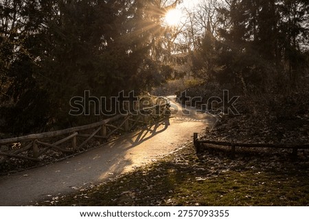 A winding park path lined with rustic wooden fencing and lit by warm low sunlight filtering through tall trees. Atmospheric outdoor scene with soft shadows, natural textures, and a peaceful woodland mood, suitable for travel, and relaxation concepts.
