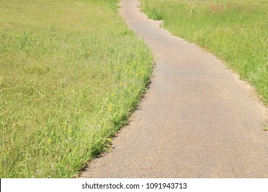A Winding Path