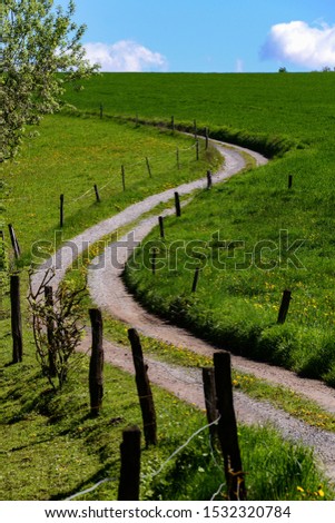 Similar – Image, Stock Photo finally free Meadow Calm