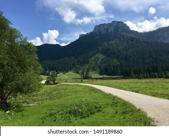 A winding path between the fresh green meadows of the Röthelmoosalmen in the Bavarian alps in Germany with a spectacular view on the mountain Gurnwandkopf near Reit im Winkl on a sunny summer day.