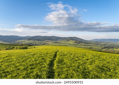 A winding path cuts through a lush green field to the Kralicky Sneznik Mountains of Czechia, offering a scenic view of the rolling hills under a blue sky. - Powered by Shutterstock