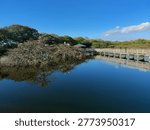 The Winding Path: Elevated Boardwalk and Gazebos at Wakodahatchee Wetlands, Florida